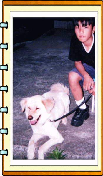 �t���[��